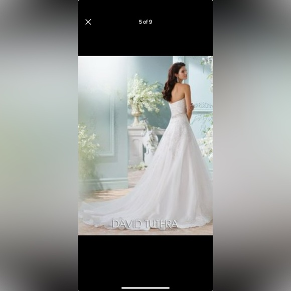 BRAND NEW DAVID TUTERA WEDDING GOWN - Picture 2 of 7